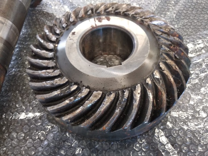 WhatsApp Image 2019-05-29 at 13.25.47.jpeg